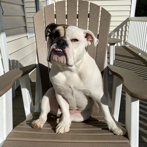 Meet your Posher, Courtney